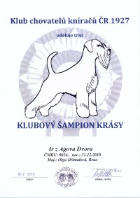 klub_samp_krasy.jpg