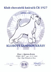 isso---klubovy-sampion-krasy.jpg